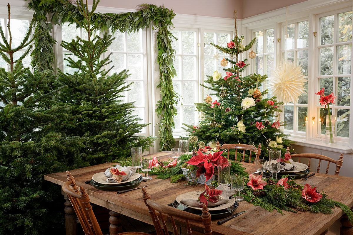 Så vill vi ha julgranen i år – hejdå till Disney-julen - Hus & Hem